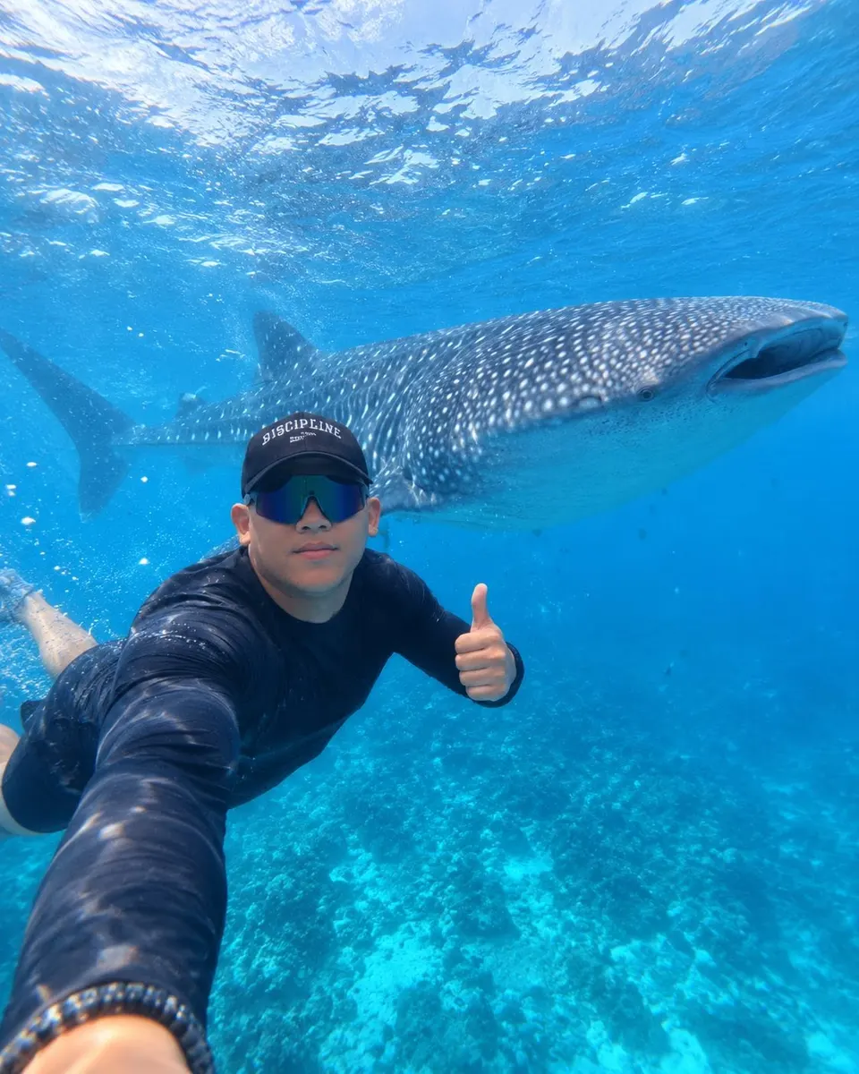 Guest taking a selfie near a whale shark underwater