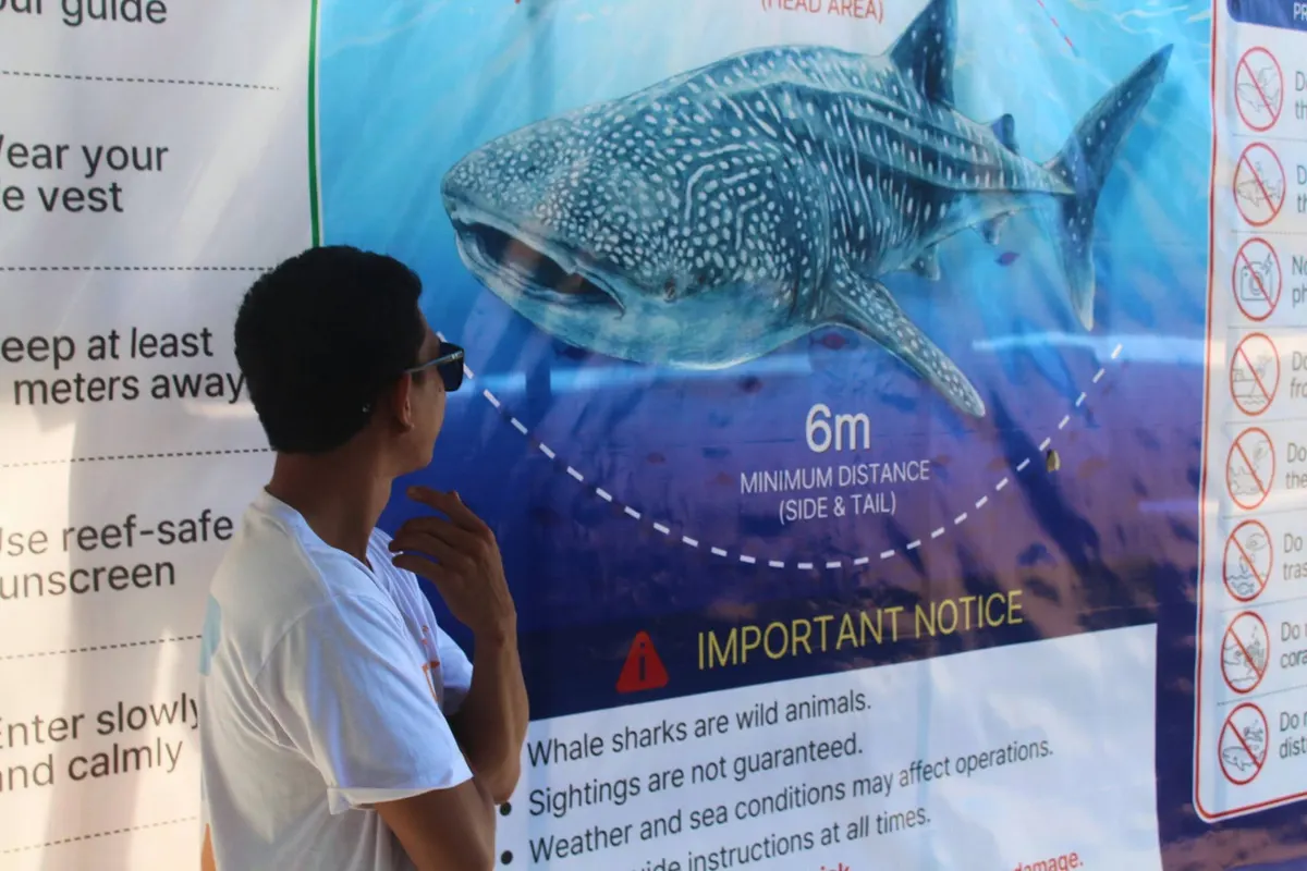 Guest studying the whale shark safety briefing poster